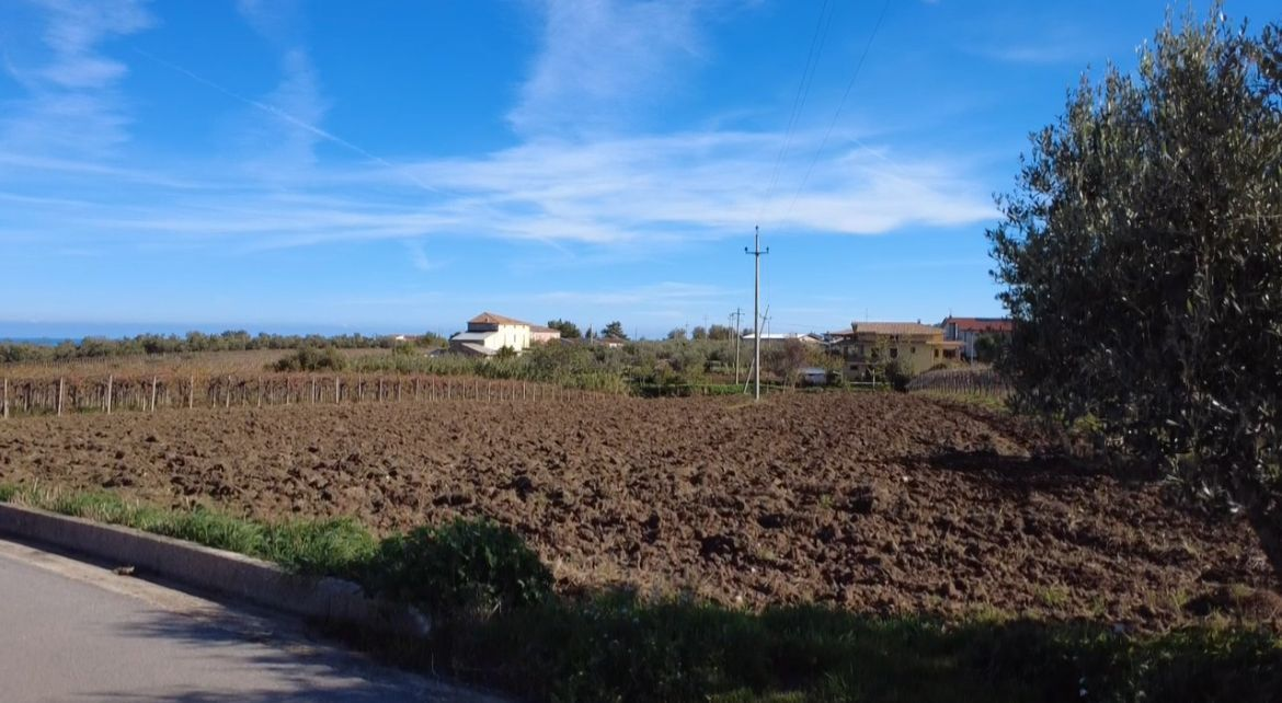 immagine annuncio 5 di 7