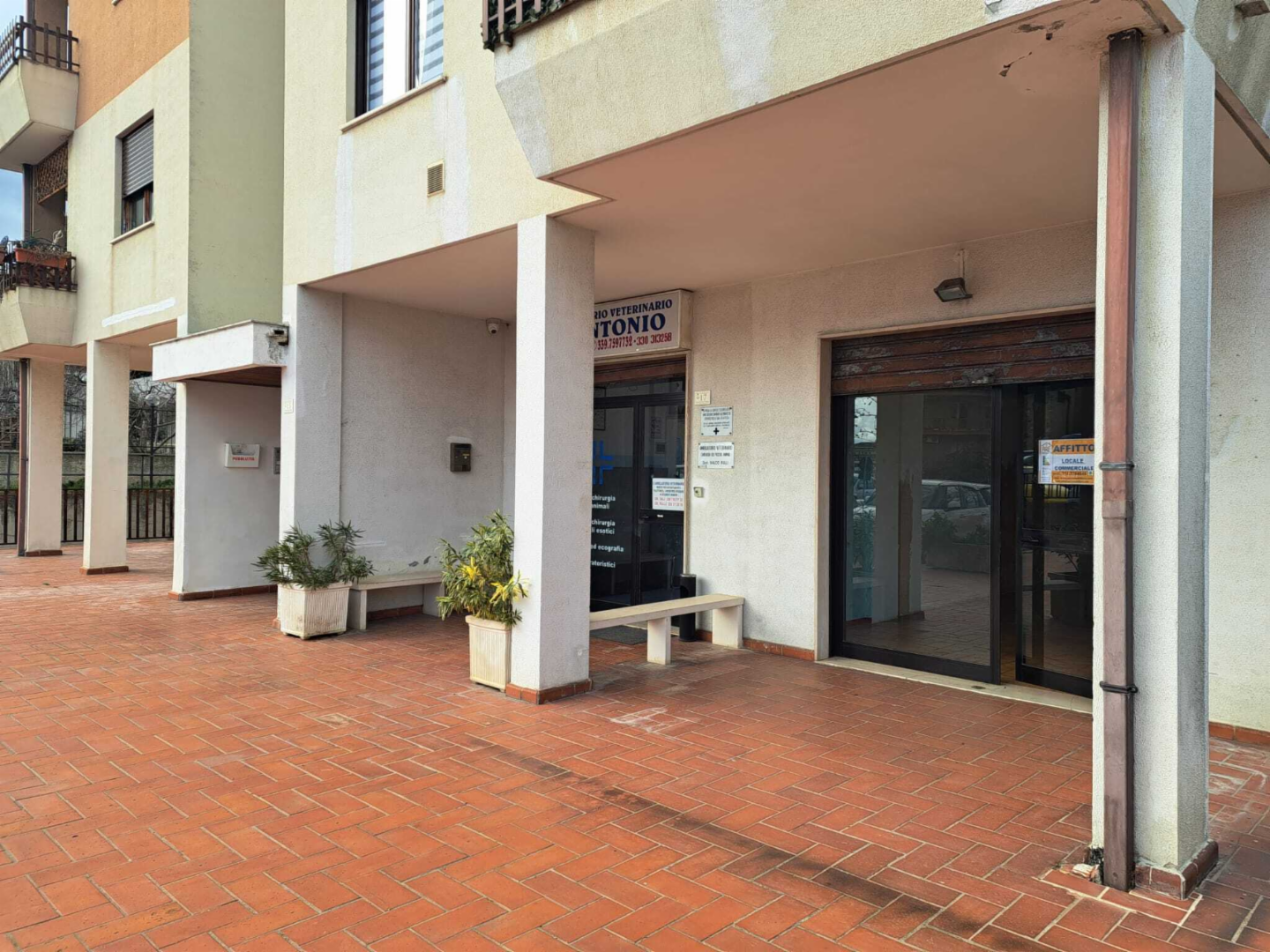 immagine annuncio 2 di 10