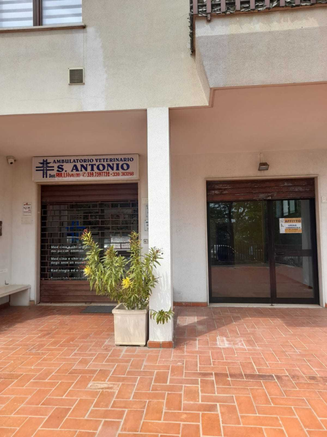 immagine annuncio 1 di 10