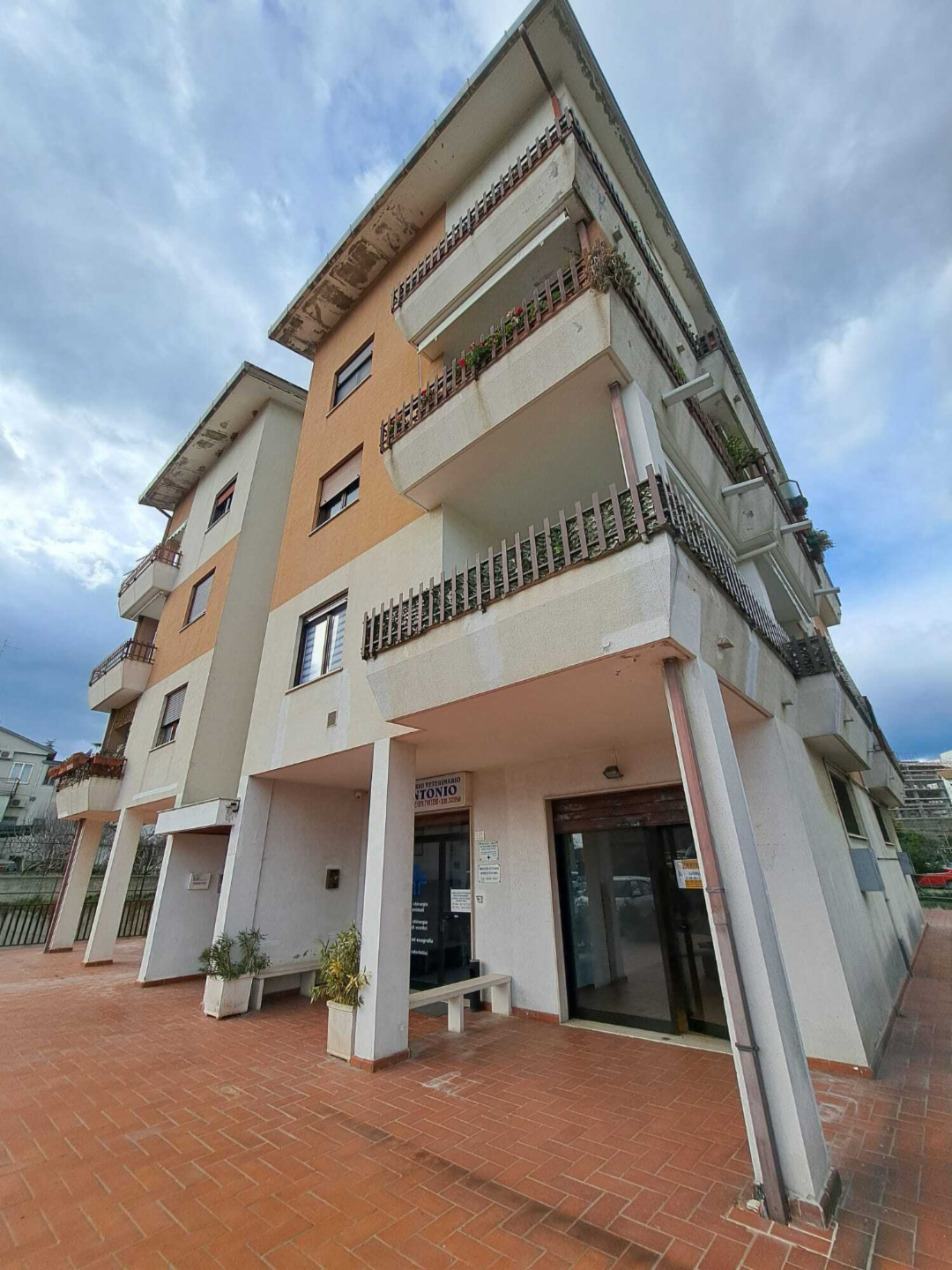 immagine annuncio 3 di 10