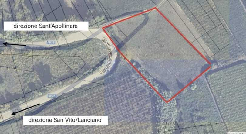 immagine annuncio 1 di 4