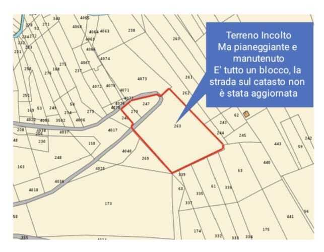 immagine annuncio 2 di 4