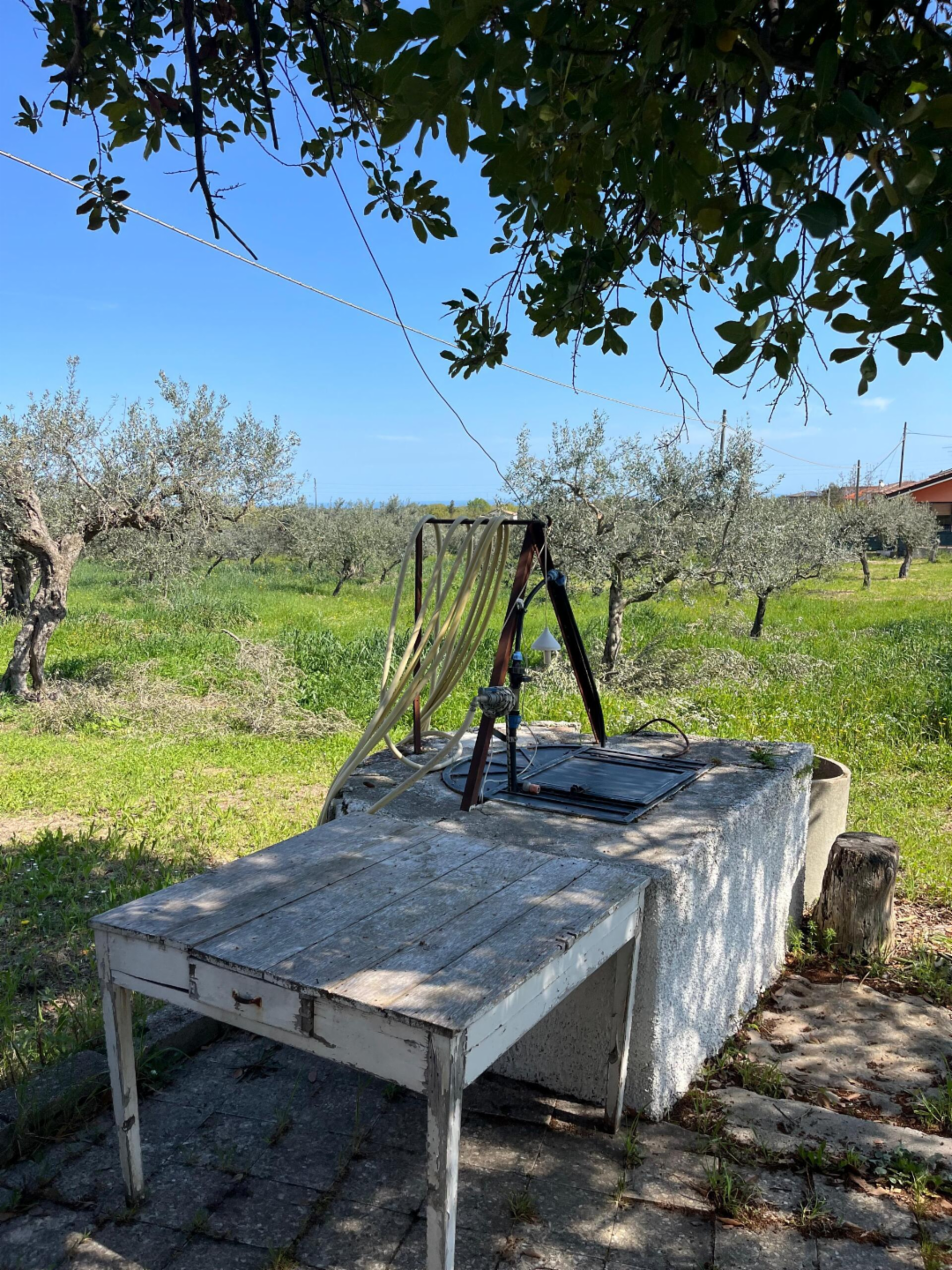 immagine annuncio 2 di 10