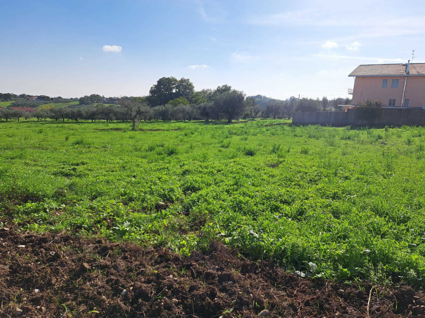 immagine annuncio 4 di 10