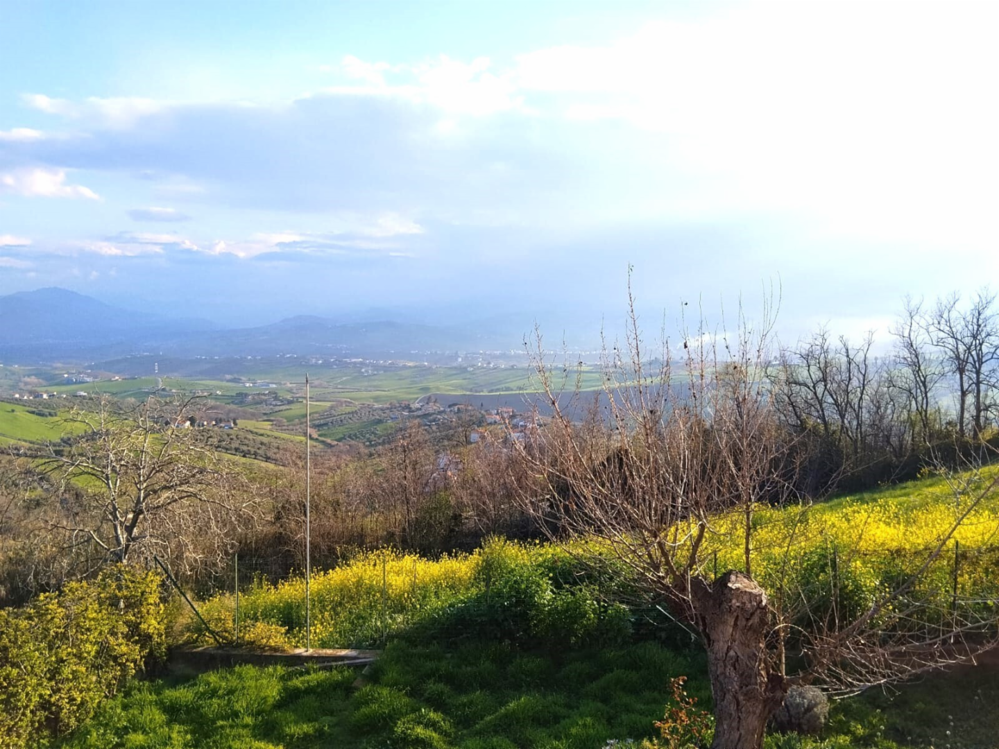 immagine annuncio 4 di 10