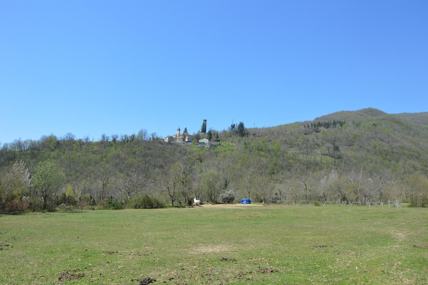 immagine annuncio 1 di 8