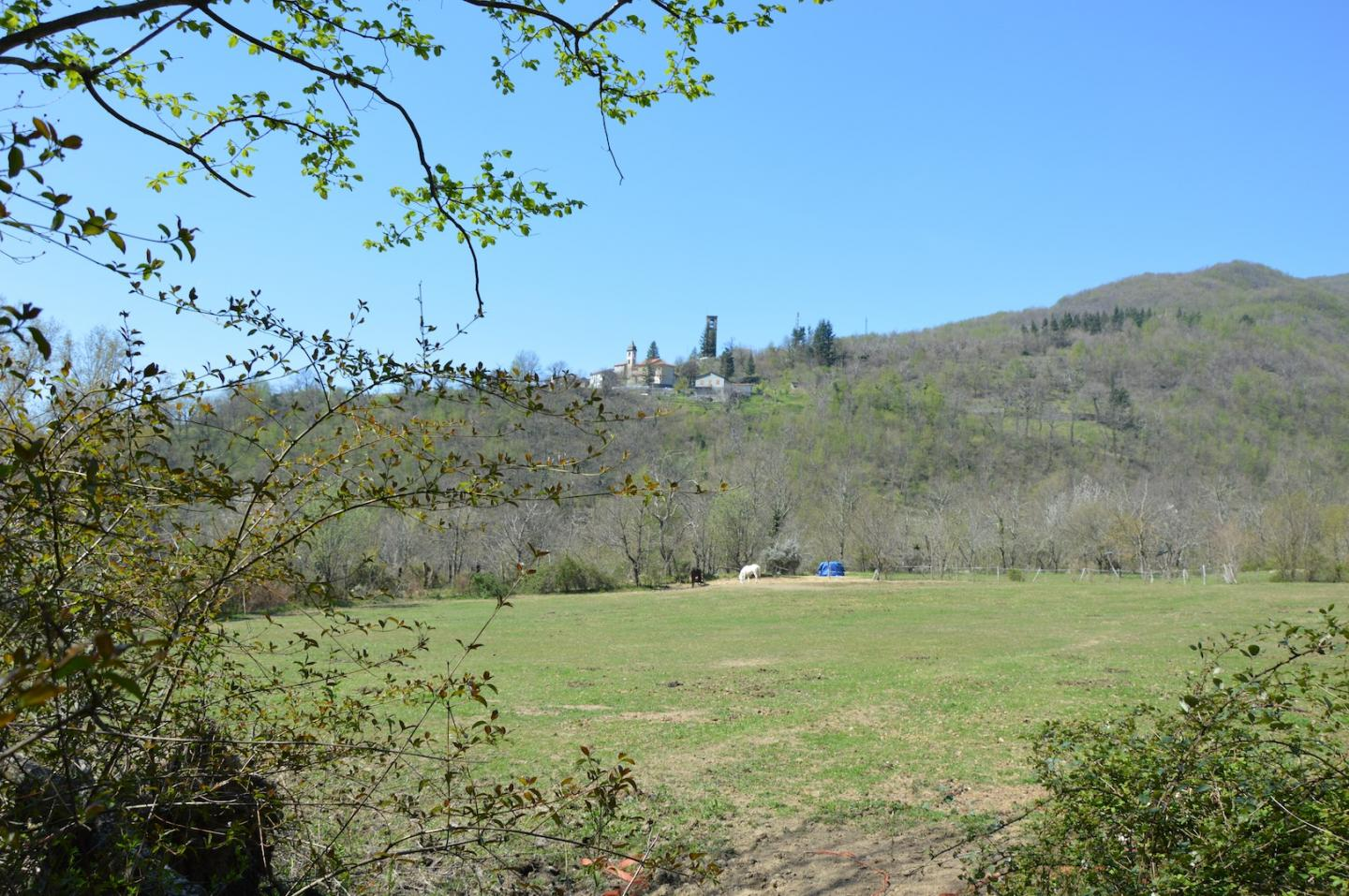 immagine annuncio 4 di 8