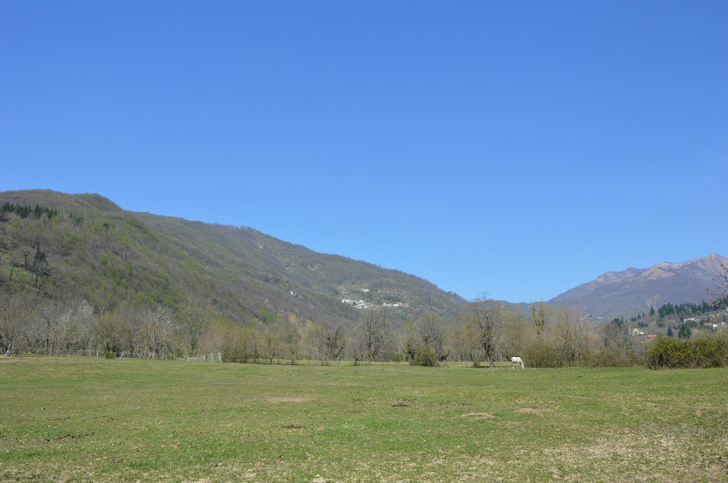 immagine annuncio 2 di 8