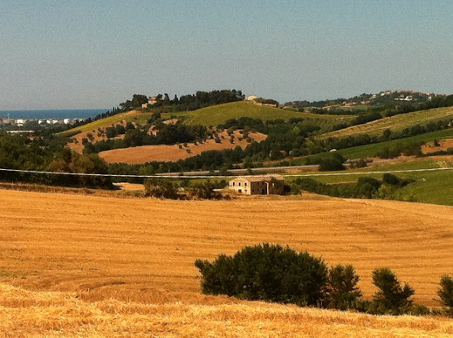 immagine annuncio 2 di 4