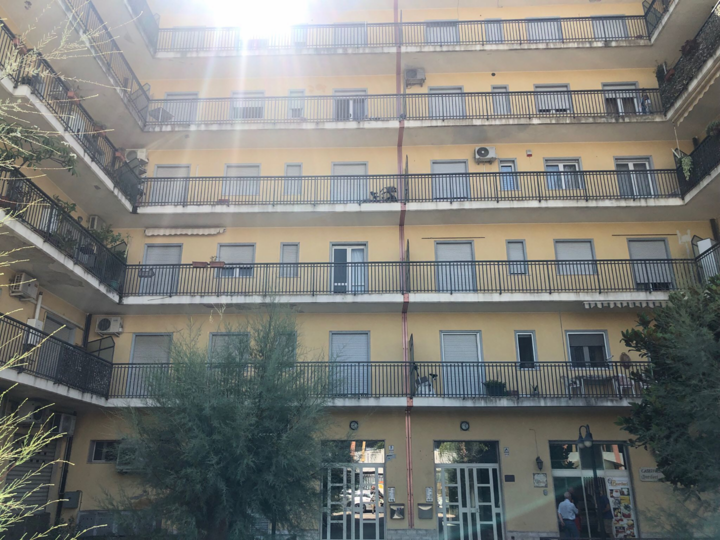 immagine annuncio 3 di 10