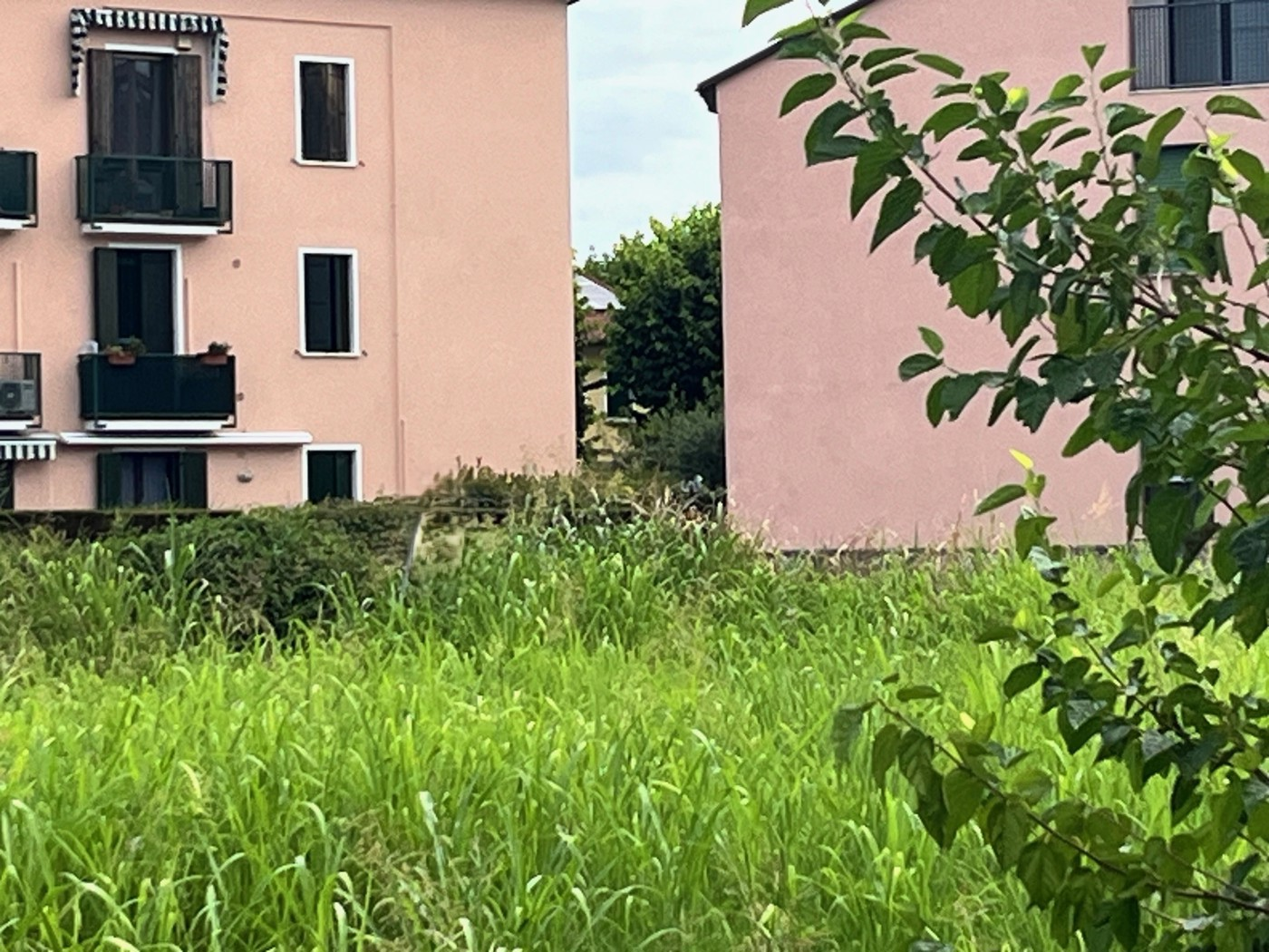immagine annuncio 1 di 2