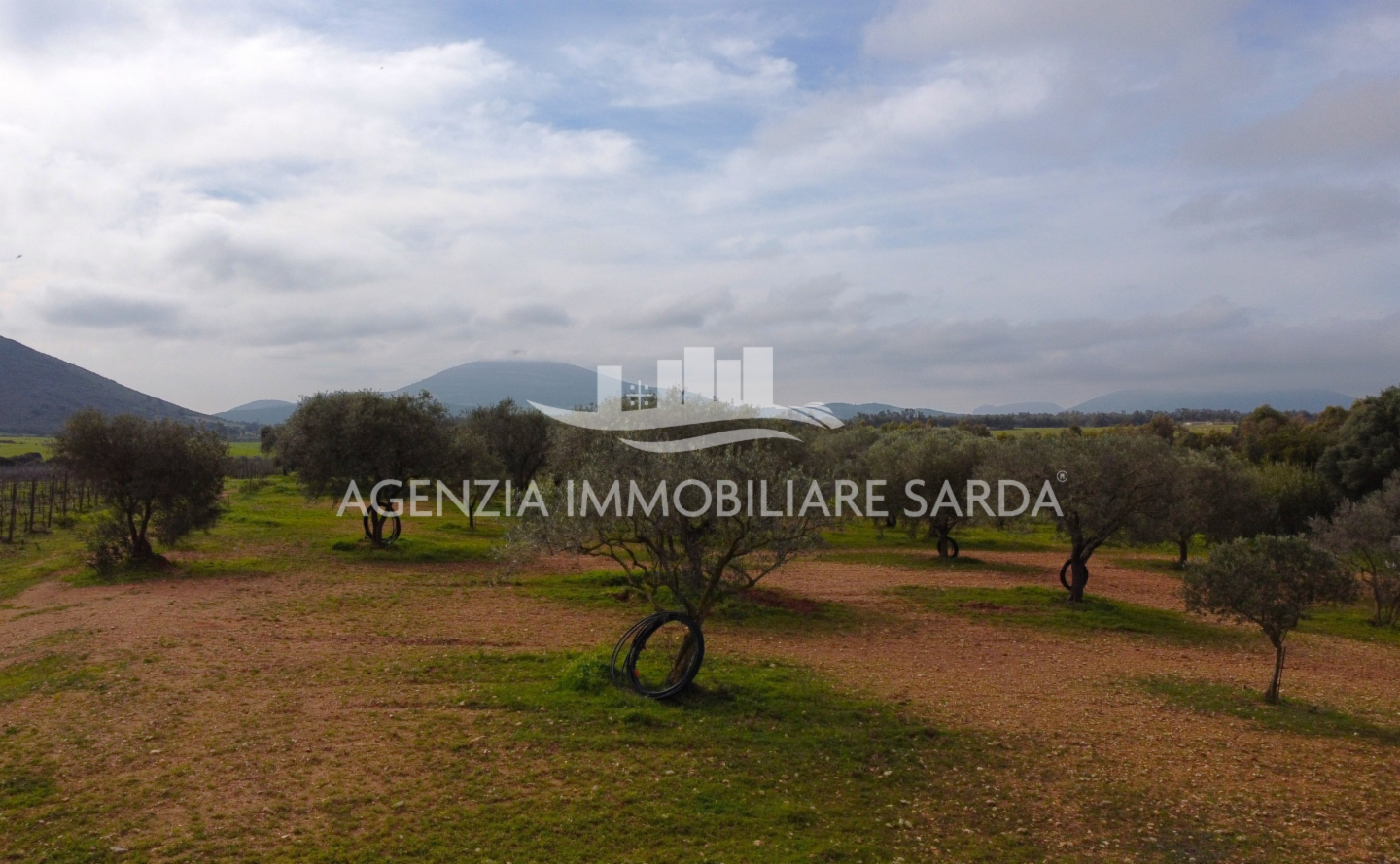 immagine annuncio 3 di 9