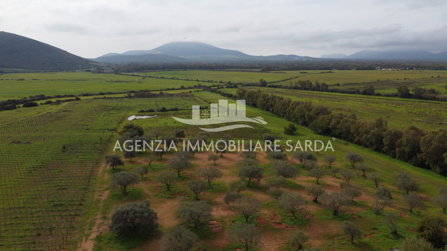 immagine annuncio 4 di 9