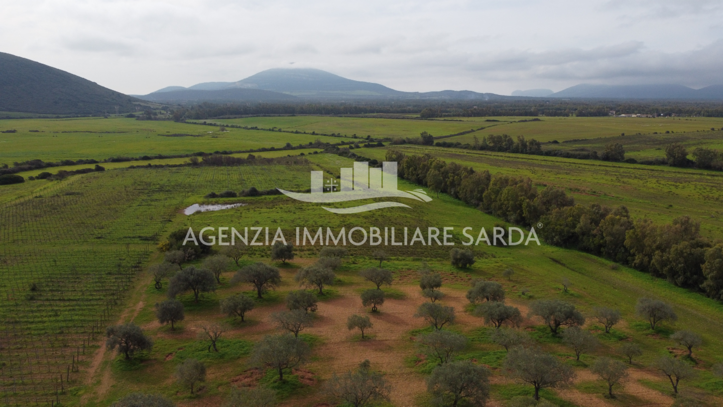 immagine annuncio 5 di 9