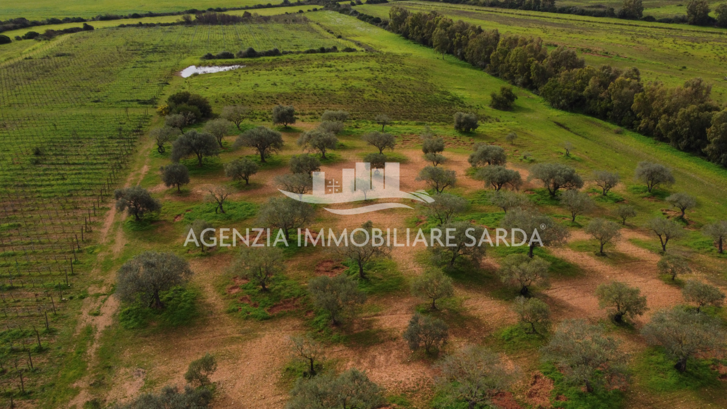 immagine annuncio 7 di 9