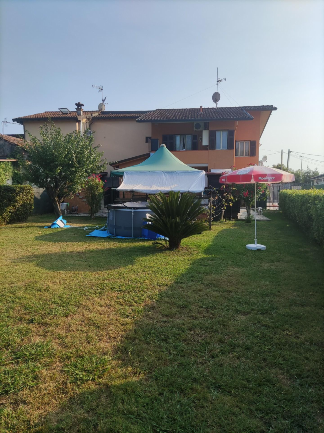 immagine annuncio 3 di 10