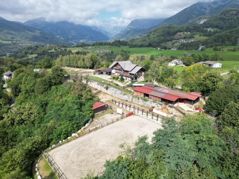 immagine annuncio 7 di 10