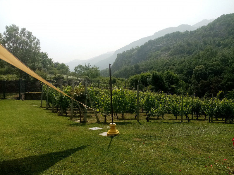 immagine annuncio 3 di 10