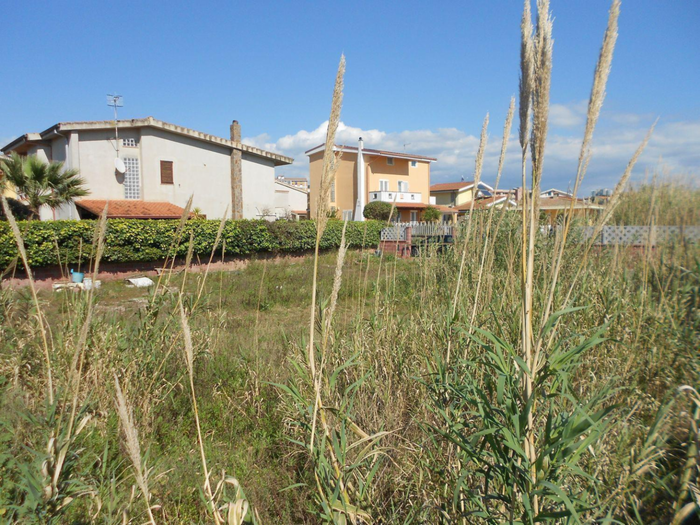 immagine annuncio 5 di 8
