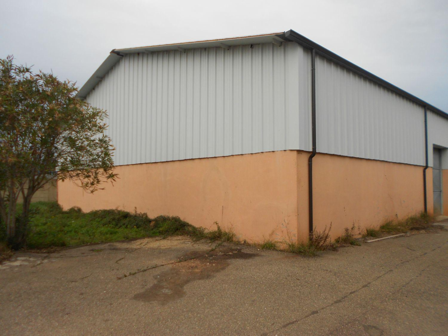 immagine annuncio 2 di 7