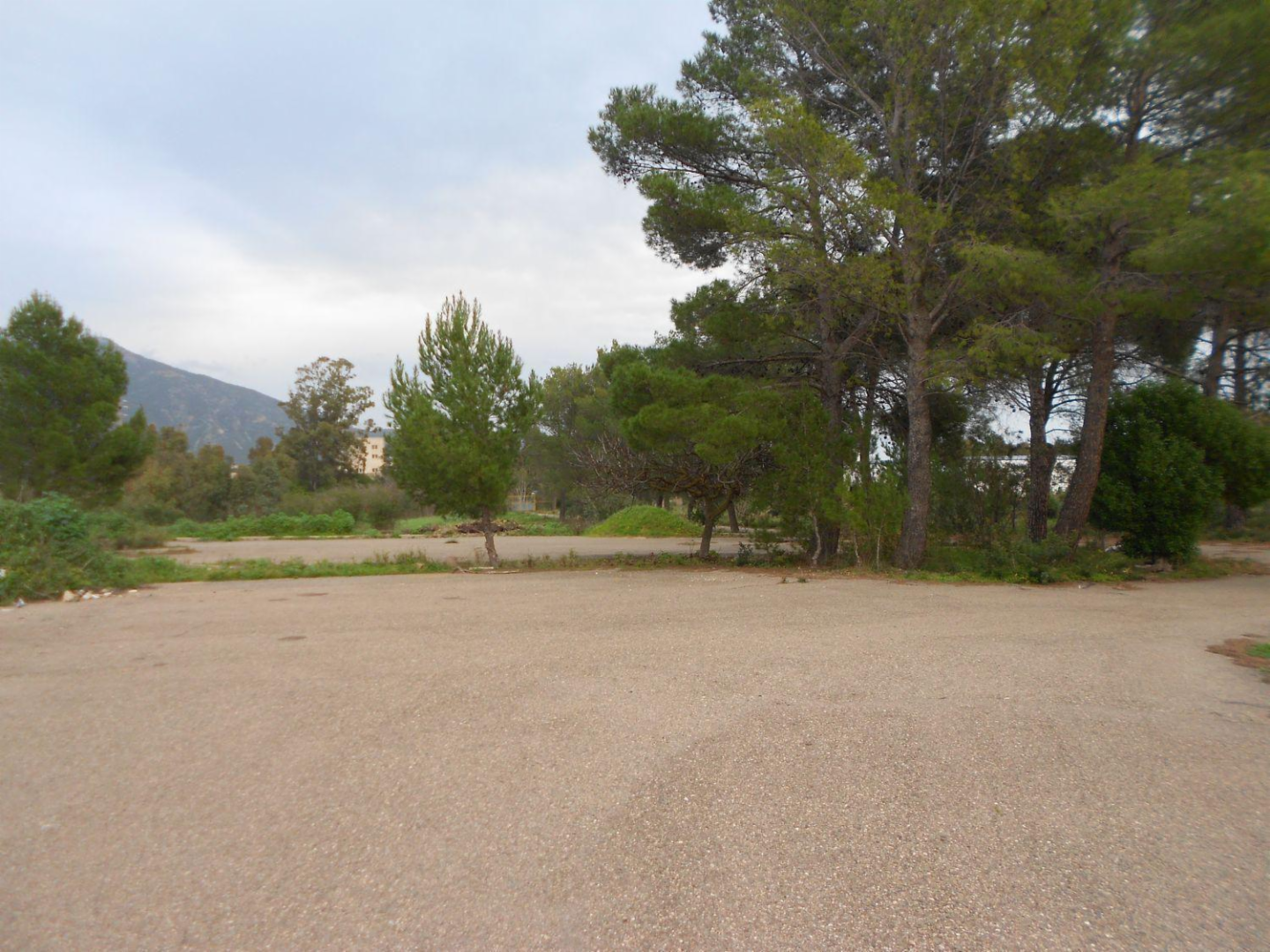 immagine annuncio 5 di 7