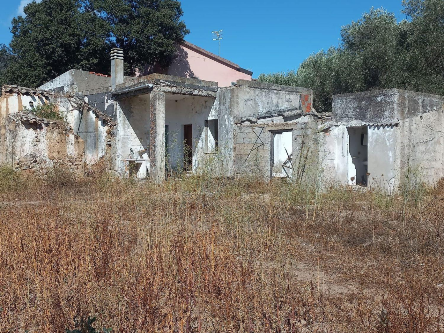 immagine annuncio 3 di 10