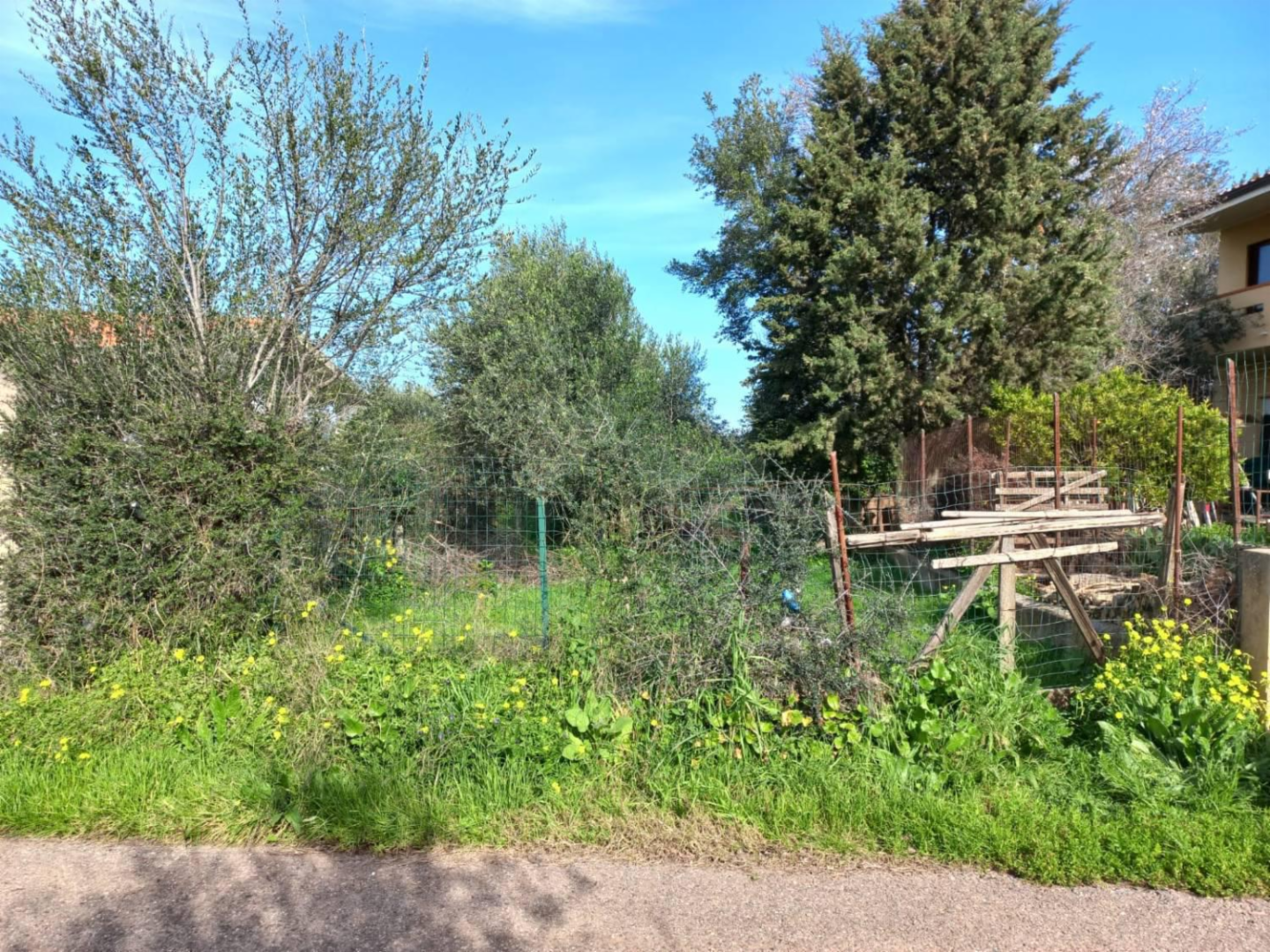 immagine annuncio 5 di 8