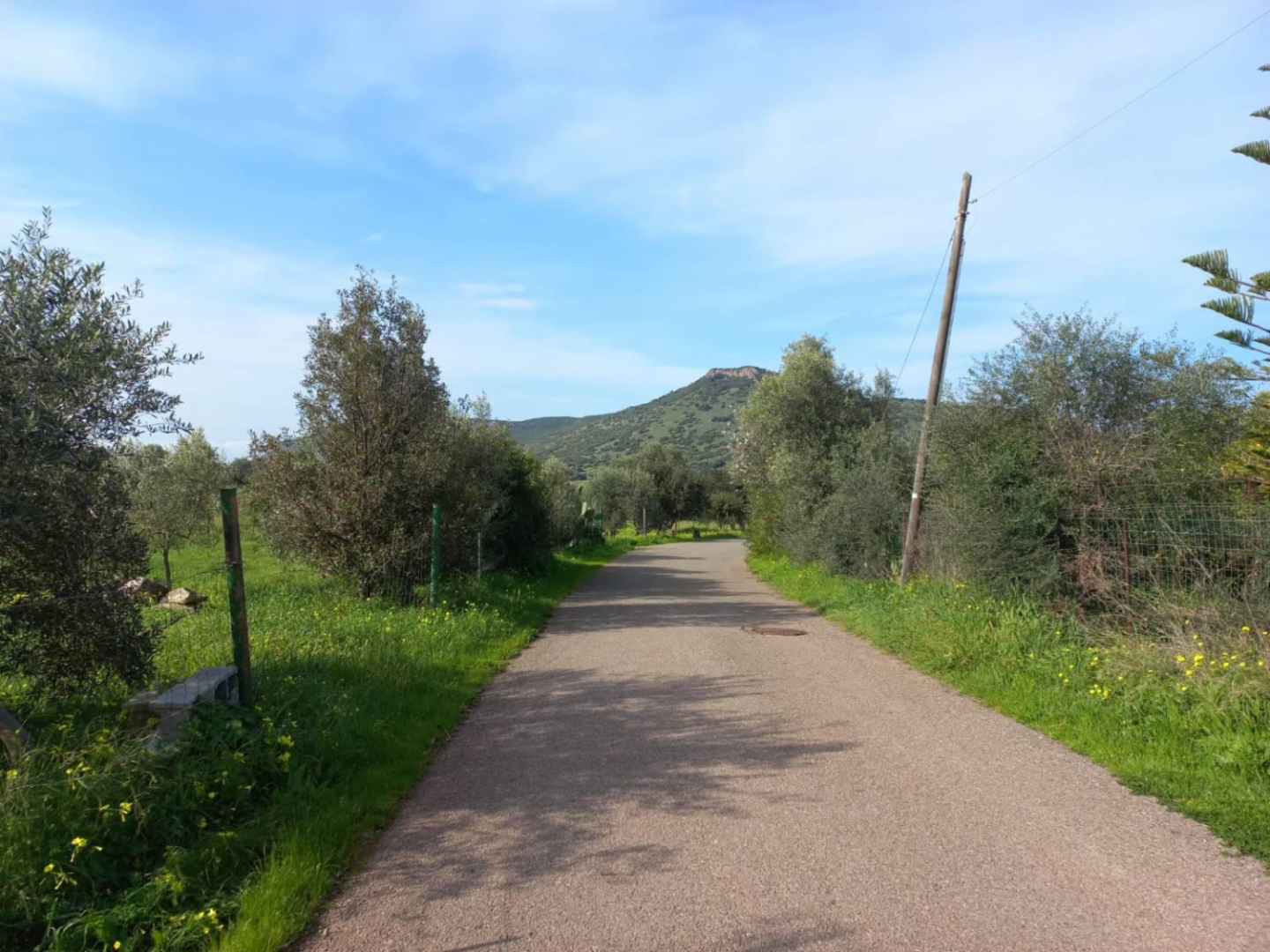 immagine annuncio 3 di 8