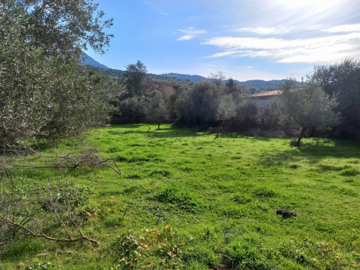 immagine annuncio 6 di 8