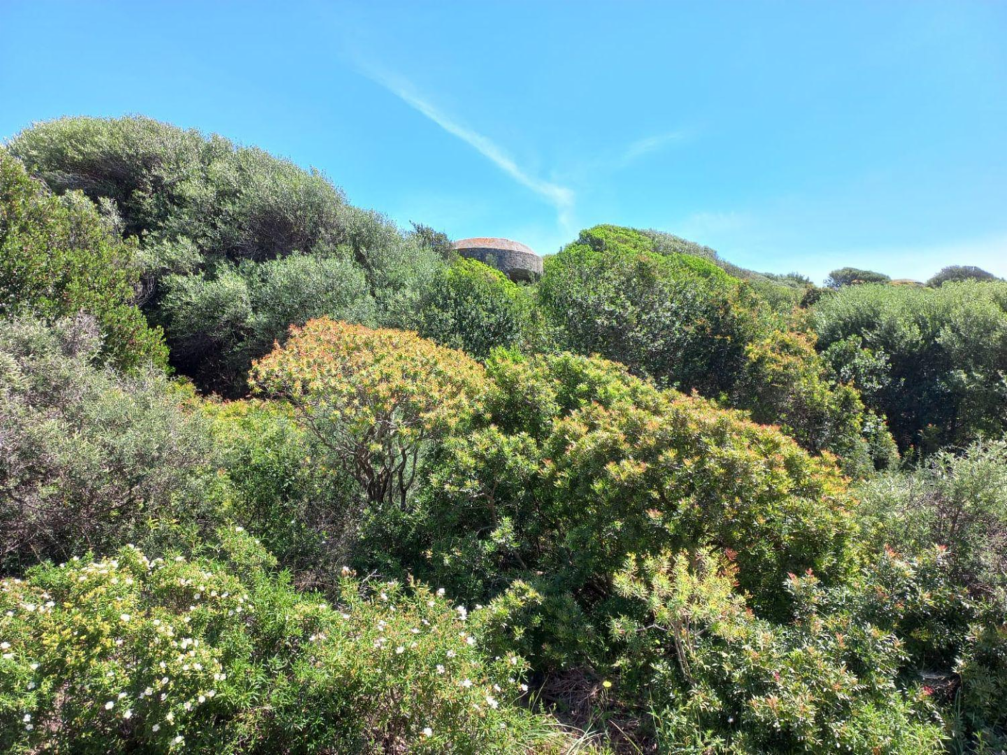 immagine annuncio 5 di 6