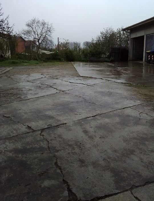 immagine annuncio 8 di 9