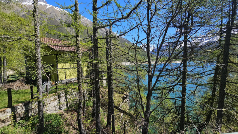 immagine annuncio 7 di 10