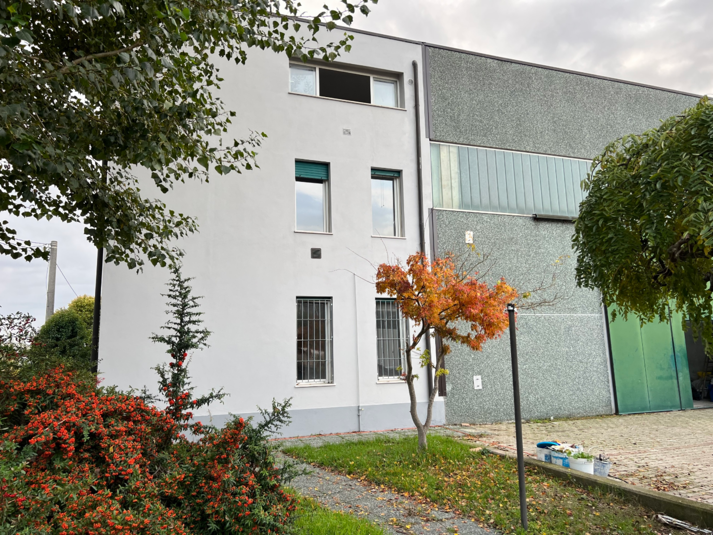 immagine annuncio 3 di 10