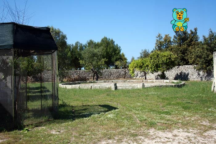 immagine annuncio 7 di 10