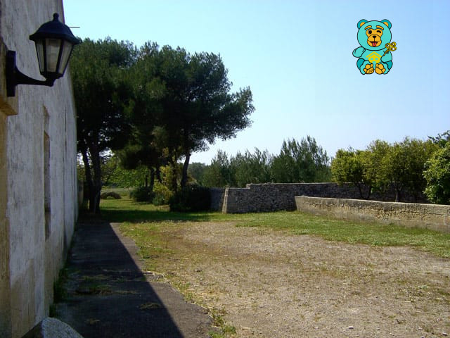 immagine annuncio 6 di 10