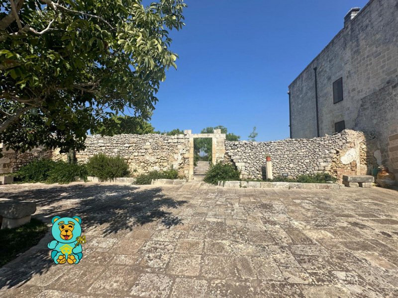 immagine annuncio 4 di 10