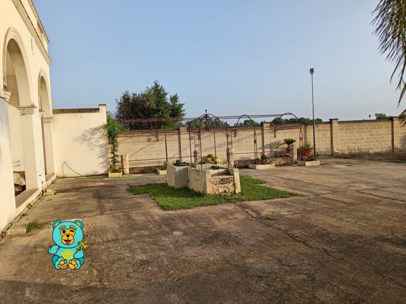 immagine annuncio 5 di 10