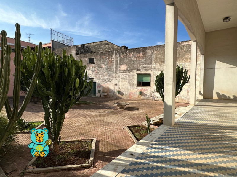 immagine annuncio 6 di 10