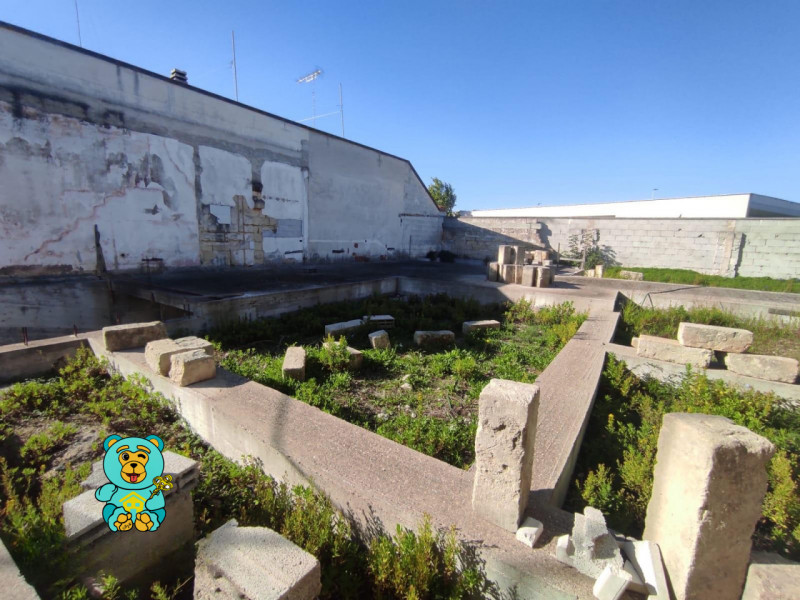 immagine annuncio 2 di 10