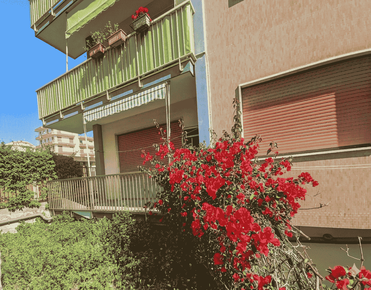 immagine annuncio 2 di 10