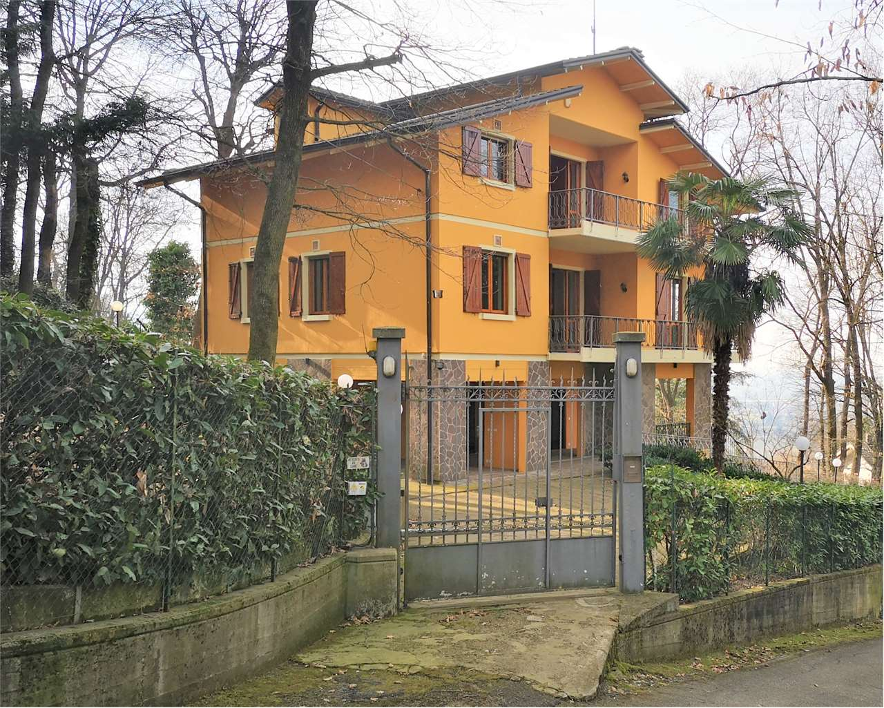 immagine annuncio 2 di 10