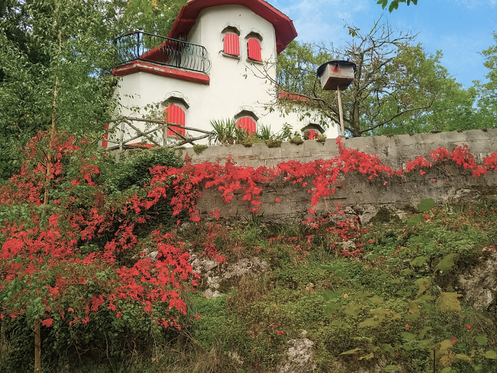 immagine annuncio 5 di 10