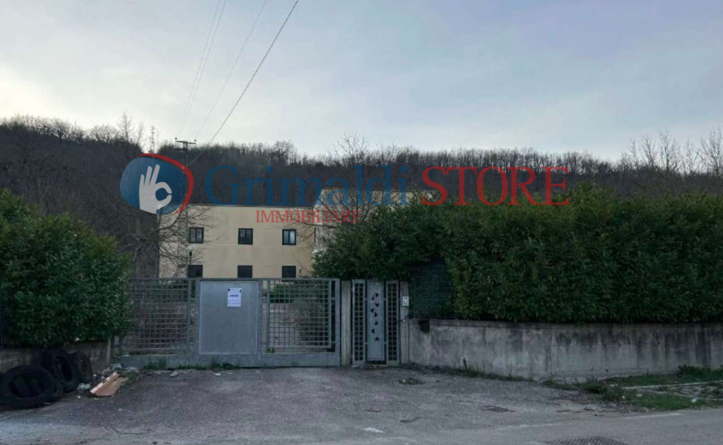 immagine annuncio 4 di 10