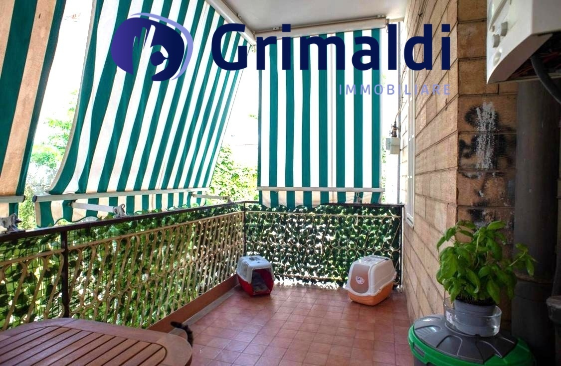 immagine annuncio 2 di 6