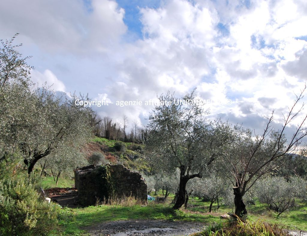 immagine annuncio 1 di 4