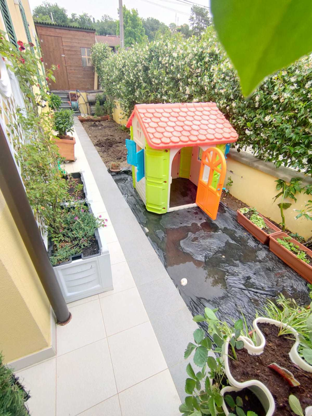 immagine annuncio 4 di 10