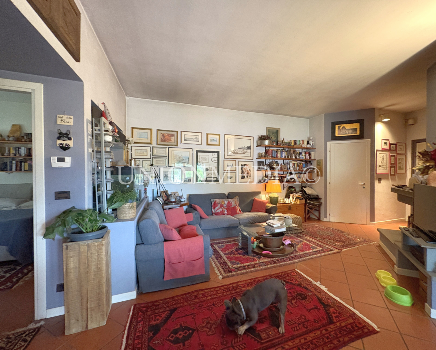 immagine annuncio 7 di 10