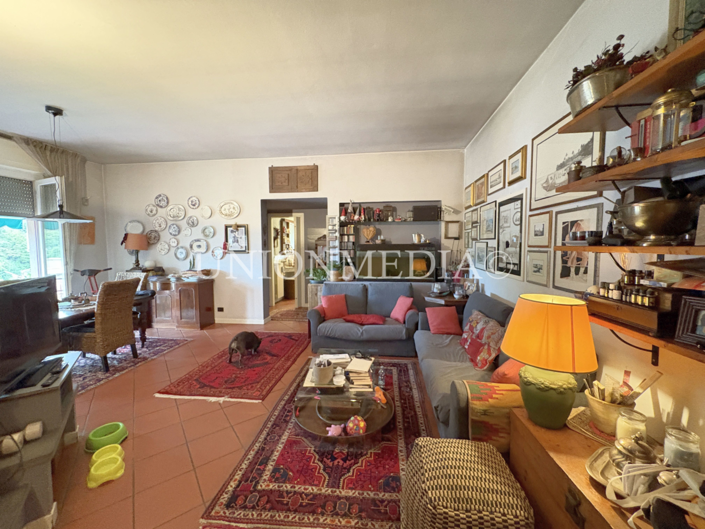 immagine annuncio 6 di 10