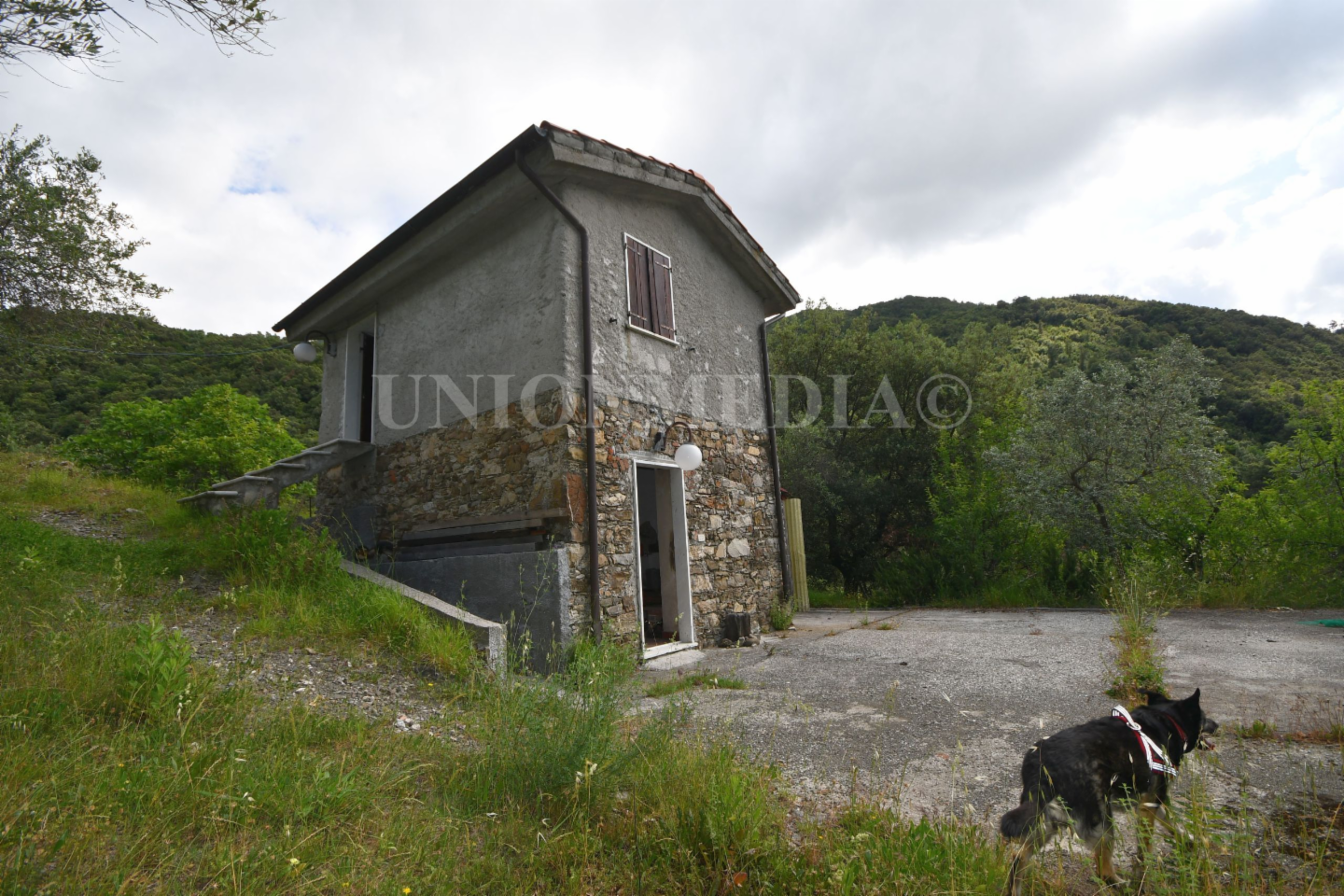 immagine annuncio 1 di 10