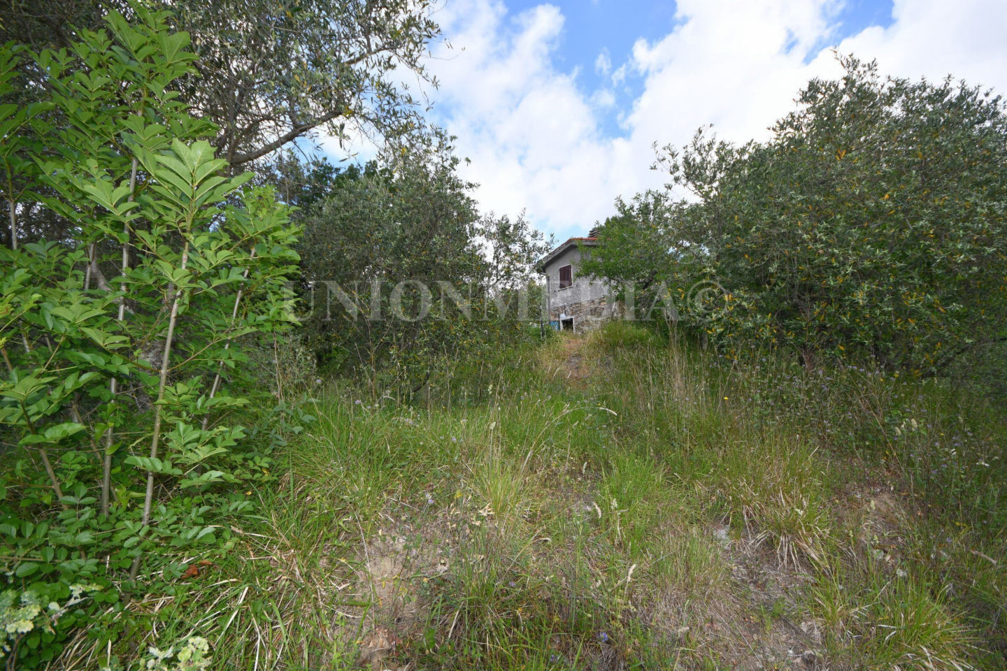 immagine annuncio 5 di 10